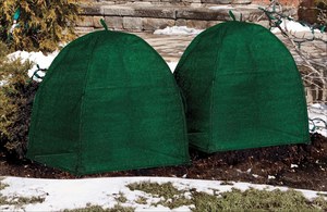 Outdoor <b>Plastic</b> Cloche up Plant Winter Shrub Freeze Plant Cover for Plants - Product Image 5