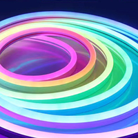 Maxtor LDE Bande lumineuse néon colorée en silicone 1212 2020 Bande lumineuse d'ambiance néon extrudée moulée monobloc