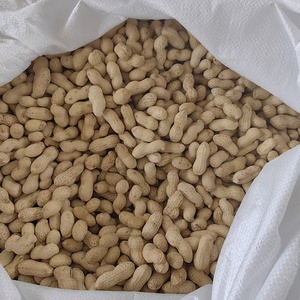 โรงงานผลิตถั่วลิสงดิบและถั่วลิสงคั่วแบบมีเปลือก สองแบบ ขายส่ง - Product Image 4