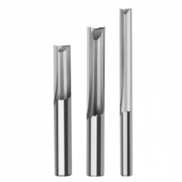 목재 밀링 도구 용 CNC 직선 조각 커터 4mm 6mm 2 피리 직선 라우터 비트
