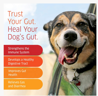 Friandises à mâcher probiotiques naturelles pour chiens : Soutien digestif, santé intestinale, supplément à mâcher souple, riches en protéines, vitamines et minéraux pour la santé.