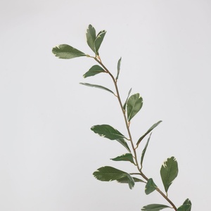 Nouvelle Arrivée 2026 – Feuilles de Citron Artificielles à Longue Tige 112cm, Feuilles de Ruscus Artificielles Vertes en Latex pour Décoration Maison et Mariage - Product Image 4
