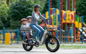 Vélo <span class=keywords><strong>cargo</strong></span> électrique familial à pneus larges K008 20 pouces 48V 15AH avec longue queue, <span class=keywords><strong>prix</strong></span> usine OEM - Product Image 5