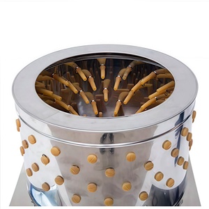 Équipement <span class=keywords><strong>d</strong></span>'abattage à grande échelle Plumeuse automatique de poulet et machine à échauder pour un traitement efficace de la volaille - Product Image 5