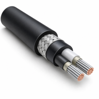 Câble marin 2,5 mm² direct usine, 100 m/rouleau, certifié CE, fil de cuivre étamé pour systèmes électriques de navires