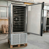 Congélateur rapide industriel à température unique, à branchement direct, avec refroidissement par air