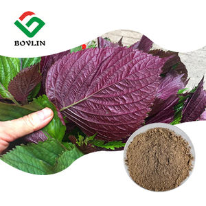 Pure <span class=keywords><strong>Perilla</strong></span> Leaf Extract Poeder Food Grade <span class=keywords><strong>Perilla</strong></span> Leaf Extract Poeder 10:1 20:1 Voor Gezondheidszorg Supplement - Product Image 1