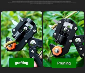 Outils de jardin professionnels 2 en 1, sécateur de greffage d'arbres, greffage avec lames de rechange, sécateur de jardin - Product Image 6