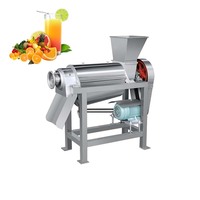 Mango Sap Extractie Machine Fruit Mango Sap Plant Oranje Ananas Mango Sap Productielijn