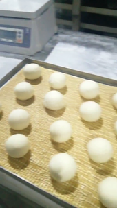 Máquina de masa de pizza napolitana-Sistema de preservación de bolsas de aire volumétrico - Product Image 4