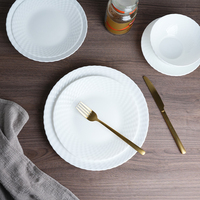 Assiettes de service en verre opale de haute qualité – Vaisselle en verre opale pour desserts et cuisine – Prix abordable – Options de tailles variées