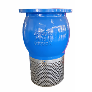 Vente directe usine PN16 DN150 DN125 DN100 DN80 DN65 DN50 Vanne de fond en fonte ductile GGG40 Vanne de fond avec filtre en acier inoxydable - Product Image 2