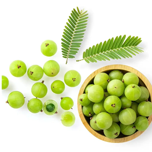 Aceite de Amla Premium |   Phyllanthus Emblica |   Vitamina C y Polifenoles |   Vitalidad del Cuero Cabelludo y Crecimiento del Cabello |   Aceite de belleza ayurvédico a granel - Product Image 4