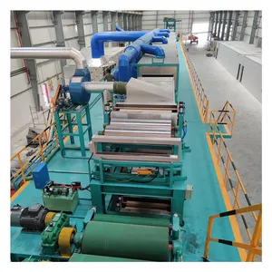 Paint coating production line with coating machines for metal plates