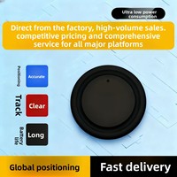 Collier de positionnement GPS anti-perte pour chats et chiens avec suivi, en matériau ABS, compatible multi-OS
