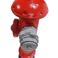Hydrant d'incendie extérieur de type poteau au sol en fonte ductile, équipement de lutte contre l'incendie DN100 avec joint en caoutchouc EPDM pour routes urbaines