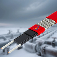 Cable Calefactor Autolimitante para Exteriores de 20W 35W 40W 220V, Precio de Fabricante