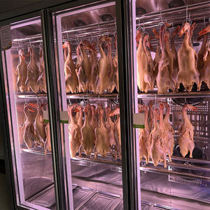 <span class=keywords><strong>ตู้</strong></span>แสดงอุณหภูมิเดียวสำหรับใช้ในซูเปอร์มาร์เก็ตและร้านอาหารอุปกรณ์อบแห้งด้วยอุณหภูมิคงที่สำหรับห่านและเป็ดย่าง - Product Image 5