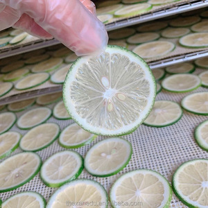 Ломтики лимона без косточек - Product Image 2