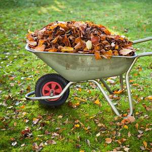 HKT1258 Vente en gros <span class=keywords><strong>de</strong></span> pneus <span class=keywords><strong>de</strong></span> <span class=keywords><strong>brouette</strong></span> solides anti-crevaison 8x2.50-4, roues en caoutchouc massif <span class=keywords><strong>de</strong></span> 8 pouces - Product Image 6