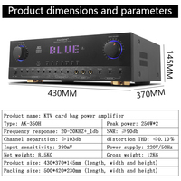 Système audio karaoké professionnel pour la maison, système audio DSP pour fêtes, équipement de sonorisation avec deux microphones sans fil, système sonore en bois