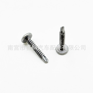 Vis autotaraudeuse à tête ronde galvanisée Shuangxuan Phillips Dovetail 4.6*29 pour tôles et plaques d'acier - Product Image 3