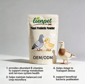 Poudre de probiotiques à base de levure pour <span class=keywords><strong>pigeons</strong></span> et canards, complément alimentaire pour canards, poulets et volailles - Product Image 4