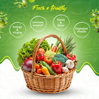 Capsules de fibres alimentaires Super Veggies, complément de fibres végétales et de légumes verts à base de plantes pour la santé digestive quotidienne et la régularité