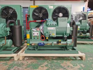 เครื่องทำความเย็นแบบคอนเดนซิ่ง 5 แรงม้า - 15 แรงม้า 15 ตัน สำหรับห้องเย็นอุณหภูมิต่ำ ขายส่ง ประหยัดพลังงาน - Product Image 6