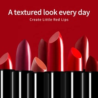 Coffret Cadeau Rouge à Lèvres Mat Velours 10 Couleurs – Édition Limitée – Personnalisable – Imperméable – Fini Brume Lisse – Meilleures Ventes
