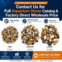 Galets naturels polis de couleurs mélangées, pierres de pluie, 500g, pour l'aménagement de l'aquarium, le substrat pour poissons, la décoration de l'aquarium, les pierres pour plantes en pot
