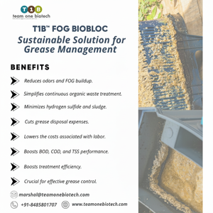 Bio-bloc anti-graisse pour restaurant en plastique pour une décomposition efficace de l'huile - Product Image 1