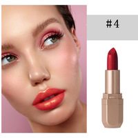 YABALIAN Rouge à lèvres crémeux pigmenté longue tenue 6 couleurs métalliques dorées avec capuchon doré OEM ODM