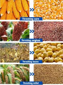 Máquina Desgranadora y Trilladora de Maíz, Sorgo, Soja, Arroz, Colza y Trigo en Venta - Product Image 2