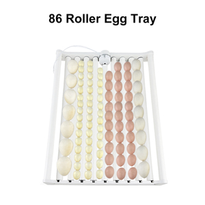 Plateaux à œufs en plastique OEM&DEM 78-94, plateau à œufs automatique à 70 rouleaux, en vente - Product Image 5