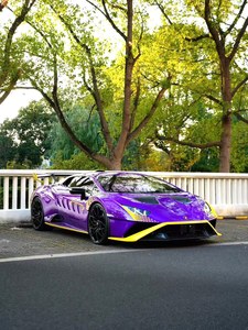 Voiture de course homologuée Huracan <span class=keywords><strong>STO</strong></span> d'occasion, kit aérodynamique entièrement en carbone, peinture personnalisée violet-jaune, faible kilométrage, côté gauche. - Product Image 6