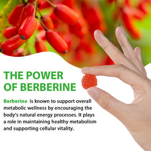הבזנטלים צמח בר תמצית תוספת משקל אובדן גומי עור ויטמין תזונה תוספי מזון berberine gummies - Product Image 4