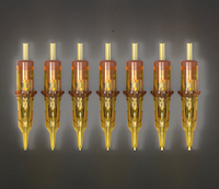 20 buah/kotak produsen grosir Custom ambisi Glory Gold jarum cartridge tato sekali pakai profesional untuk alis tubuh
