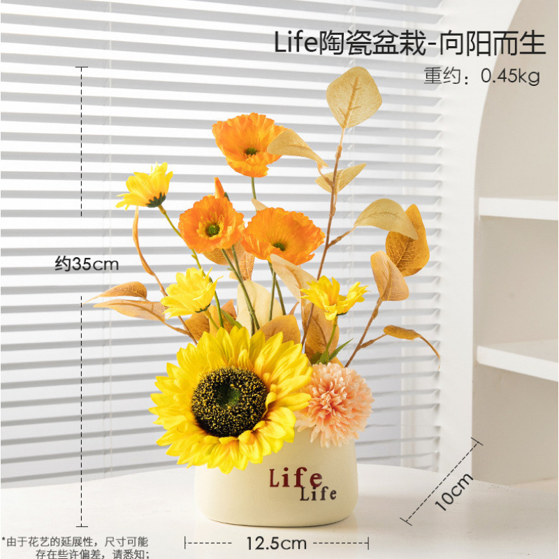 Plantes en pot Plastic Life - poussant vers le soleil