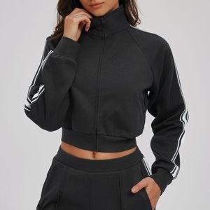 Sweat à capuche contrasté avec col montant, coupe-vent, poches zippées pour femme, idéal pour les sports de plein air et le cyclisme, veste épaisse - Product Image 2