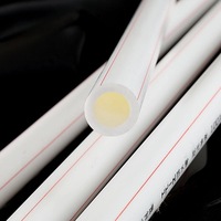 Tuyaux d'eau flexibles PPR Xingchuan Hongyu 4-Fen 6-Fen pour l'alimentation en eau chaude/froide pour installation domestique, soudage à chaud