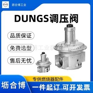 Vanne de réduction de pression de gaz DUNGS authentique, raccord fileté 1/2 pouce, résistance à la pression 50 kPa, régulateur de pression FRS505 - Product Image 5
