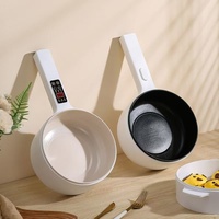 Casserole Électrique Multifonction Tout-en-un pour Usage Individuel en Dortoir ou au Bureau, Antiadhésive, Contrôle par Micro-ordinateur, à Brancher