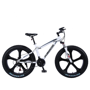 Vélo électrique à gros pneus pas cher, vélo de montagne électrique 26 pouces, batteries au lithium 36V 350W, vélo électrique de ville, vélo hybride électrique - Product Image 3