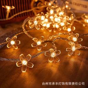 Guirlande lumineuse LED colorée à piles IP67 DC 12V pour extérieur, camping, ambiance de Noël, décoration de stand, clignotante - Product Image 5