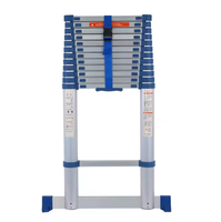 Échelle télescopique en aluminium portable à un seul côté, norme EN 131, 15 marches, 4,4 m, capacité de 150 kg, accessoires modernes pour le bricolage domestique