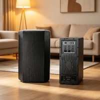 Haut-parleur PA professionnel personnalisé de 15 pouces avec DSP de classe D, 500 W RMS, enceinte en plastique pour conférences, bars et spectacles en direct en extérieur