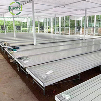 Plateaux hydroponiques de fourrage de reflux en plastique ABS de pépinière 4*6 grande Table de culture d'inondation pour la plantation de légumes d'intérieur