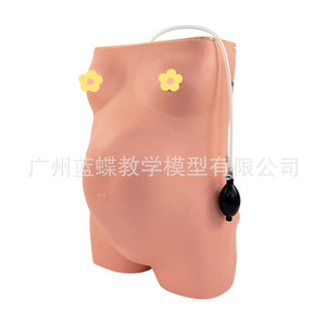 Modèle avancé d'examen de grossesse assisté par ordinateur avec auscultation du rythme cardiaque fœtal en quatre segments, palpation abdominale, et - Product Image 3