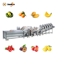 800-1200kg/uur Groente- en fruitwasserlijn Aardbei Appel Citroen Avocado Passievrucht Wasmachine Groentewaslijn